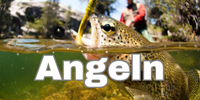 Angeln am Untreusee